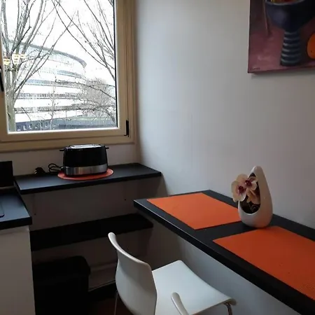 Bel Centre Avec Terrasse Daire